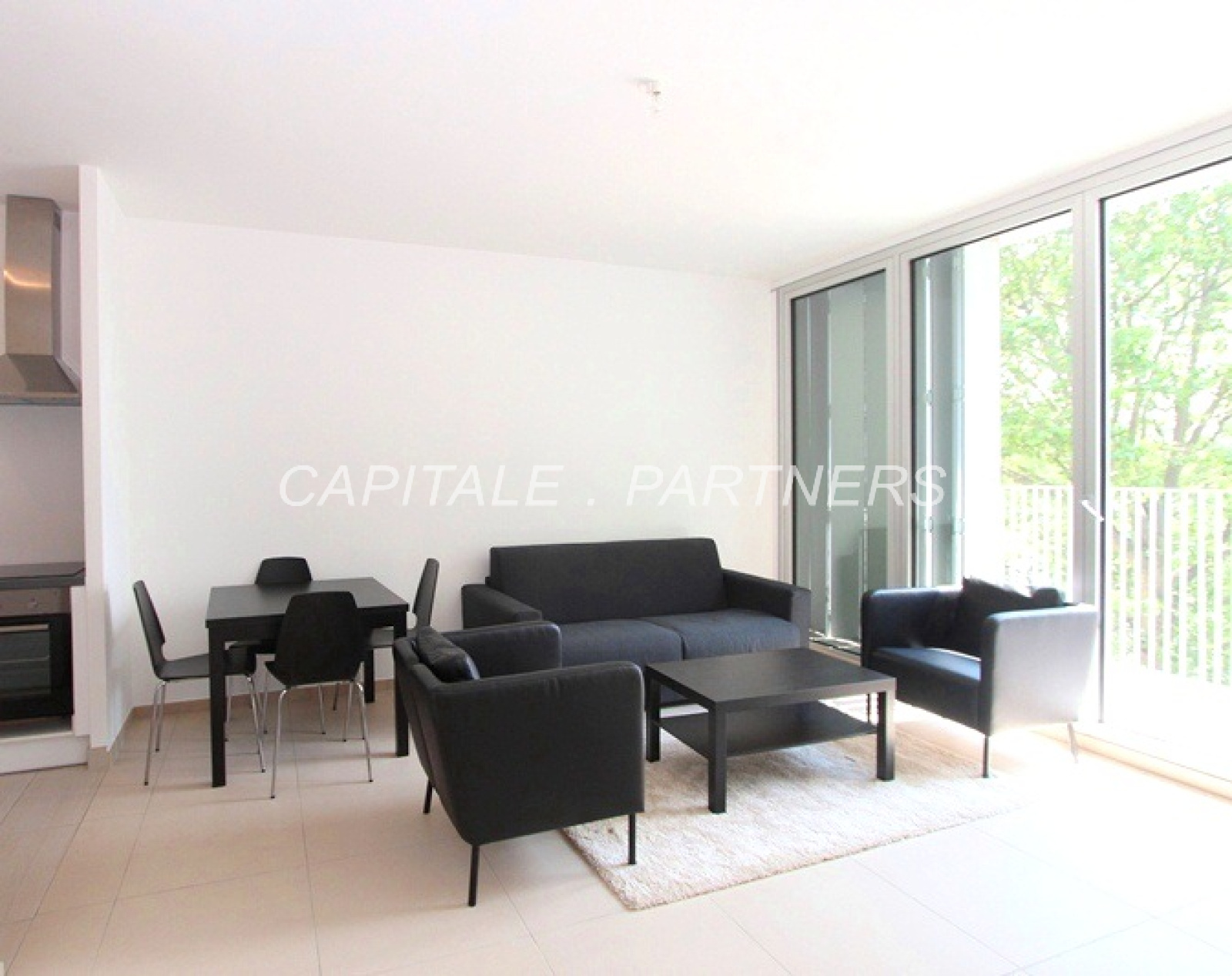 Image_, Appartement, Paris, ref :VAP80000133