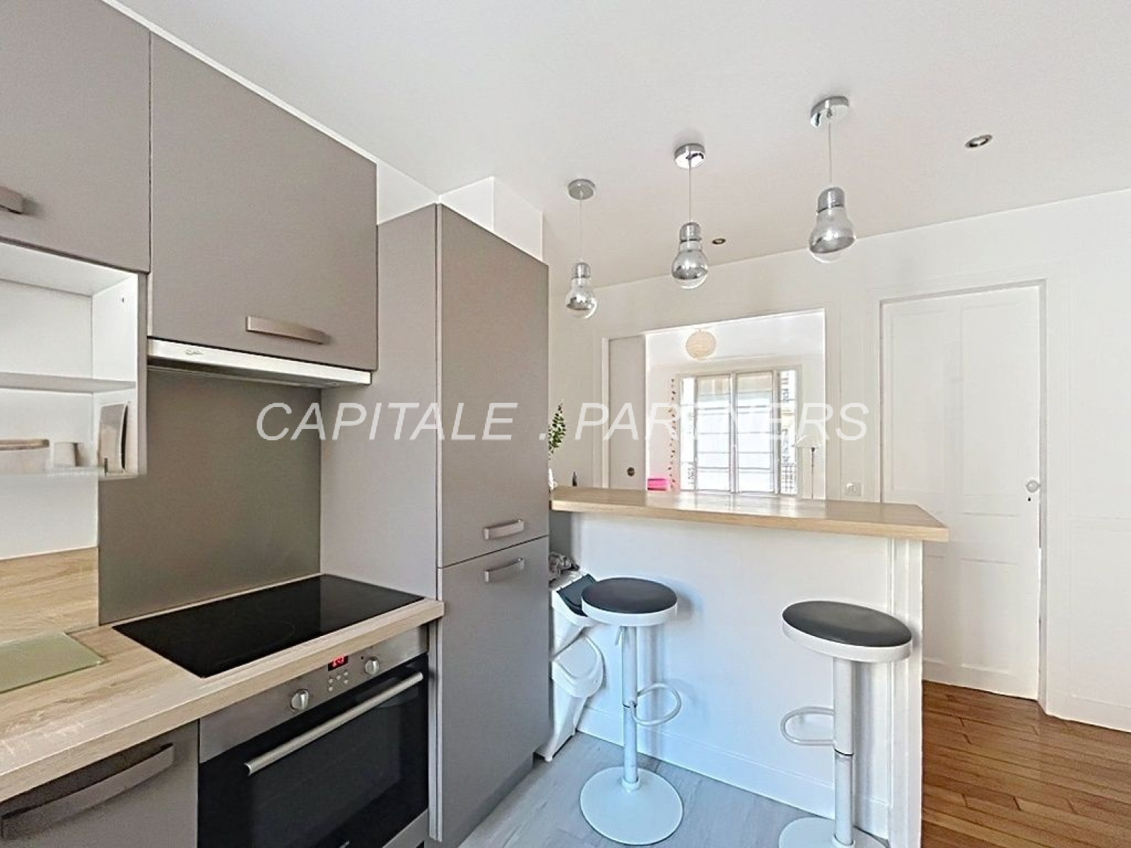 Image_, Appartement, Paris, ref :VAP80000144